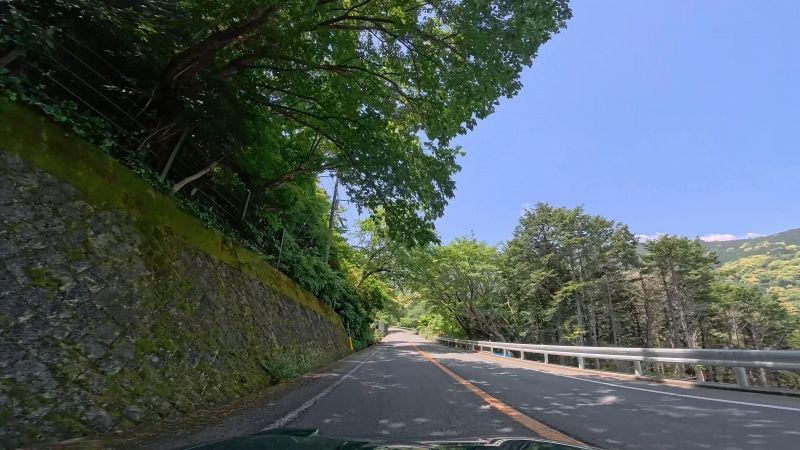頼朝ライン